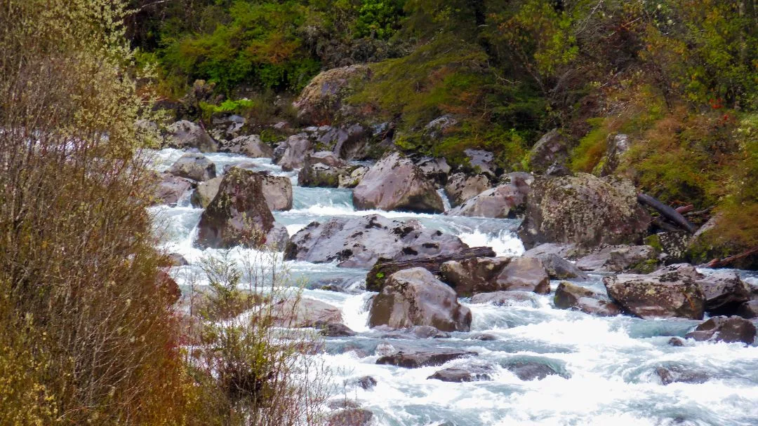 Saltos del Nilahue, fuerza del agua en la geología volcánica de Riñinahue