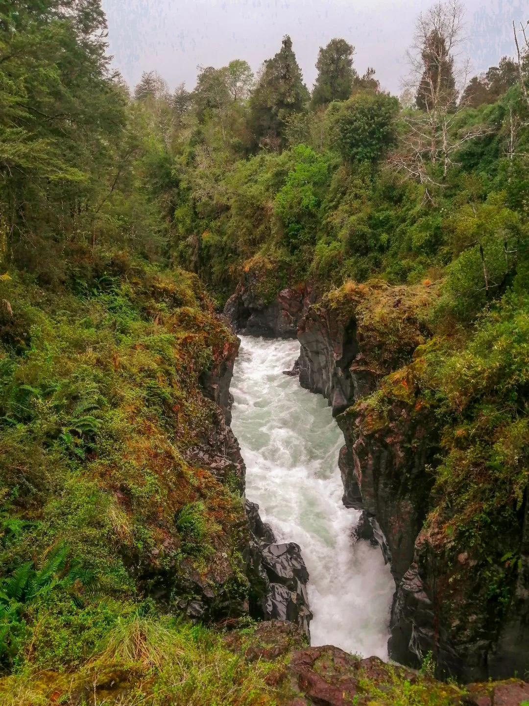 Ruta de Fuego y Agua en Lago Ranco