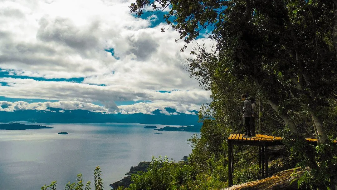 Mirador sobre el dosel del bosque nativo