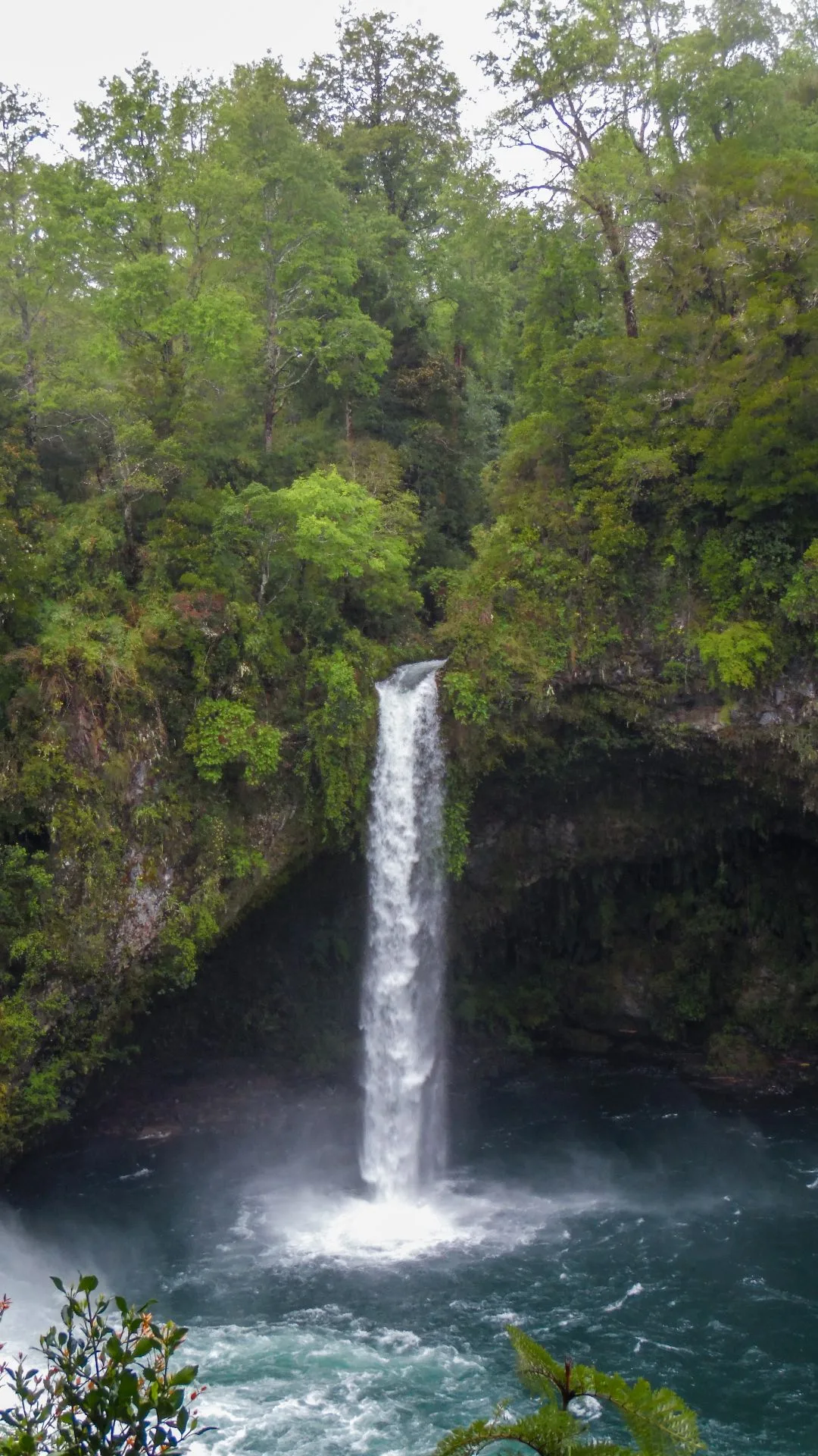 Vuelta al Lago Ranco en Lago Ranco
